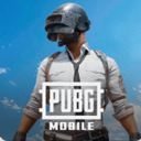 pubg绝地求生 官网正版 - 多人竞技类动作射击生存手游